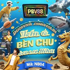 7n cm ma cao